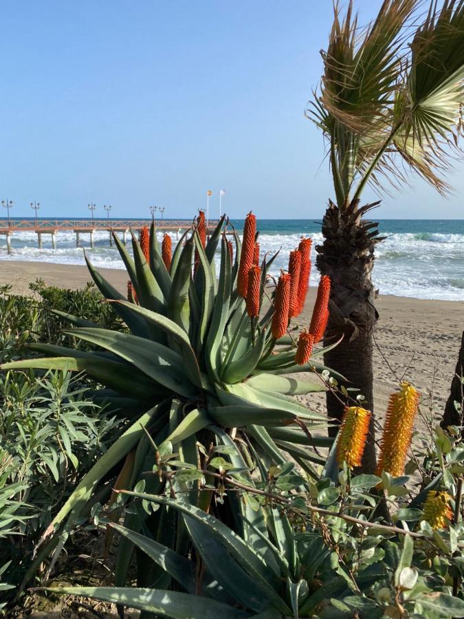 Middel Views Sea view luxurious apartment Fuengirola Extérieur photo